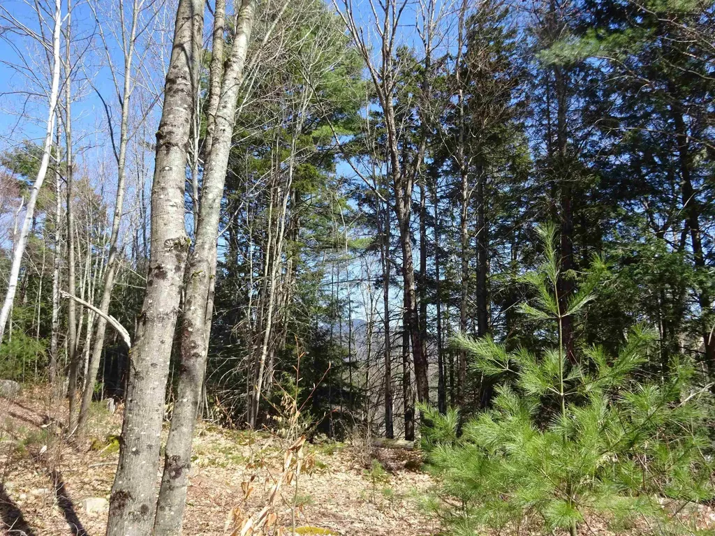 411 Senna Road Cavendish VT 05142