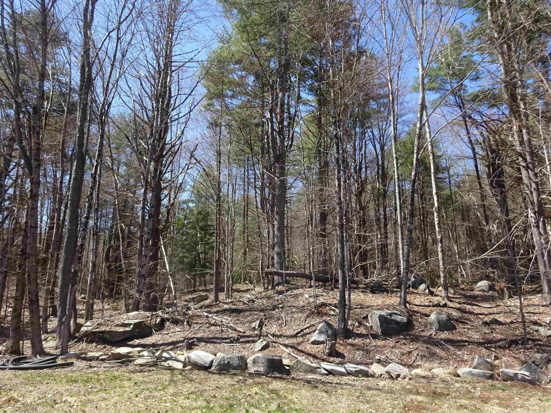 411 Senna Road Cavendish VT 05142