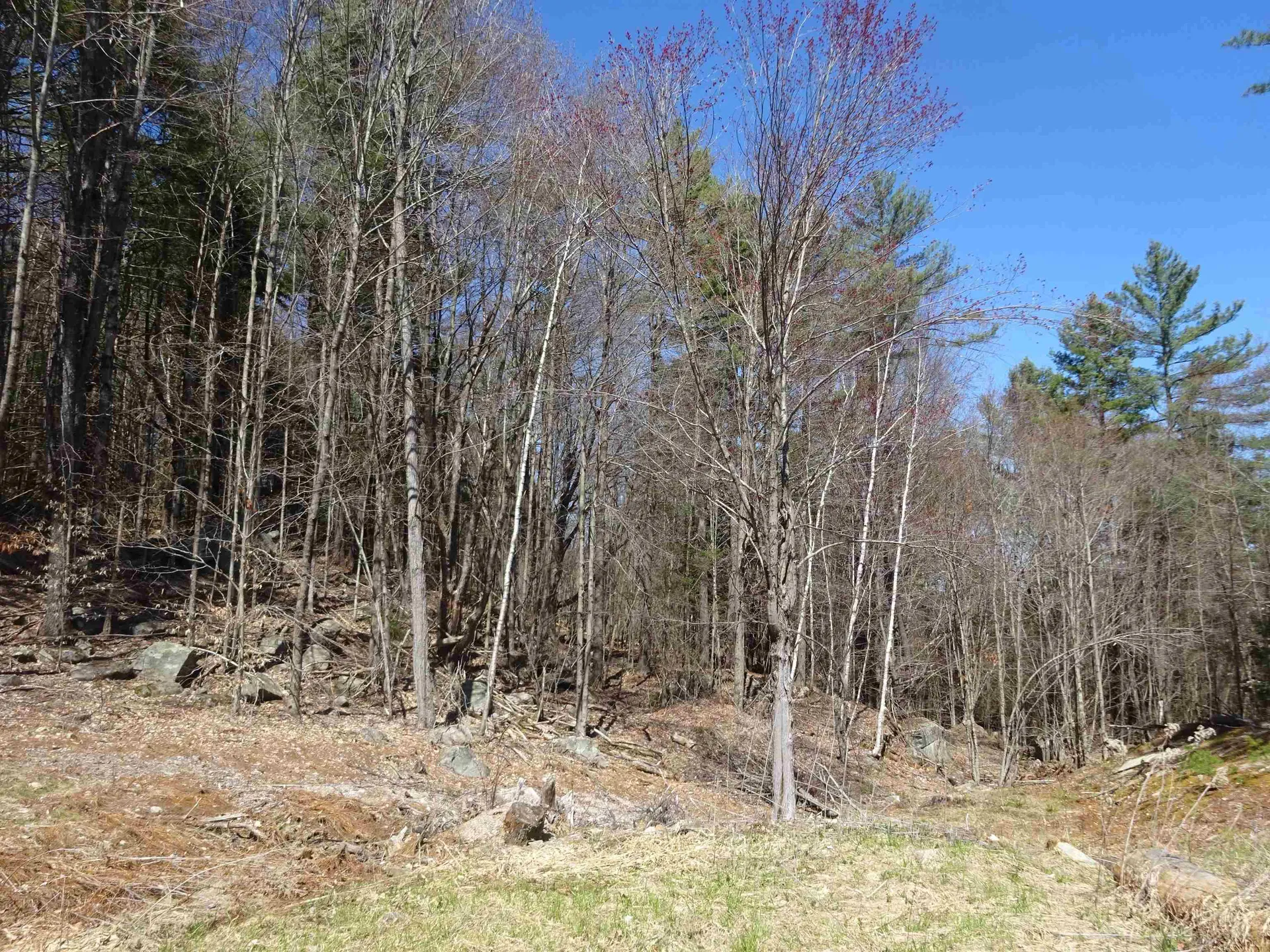 411 Senna Road Cavendish VT 05142