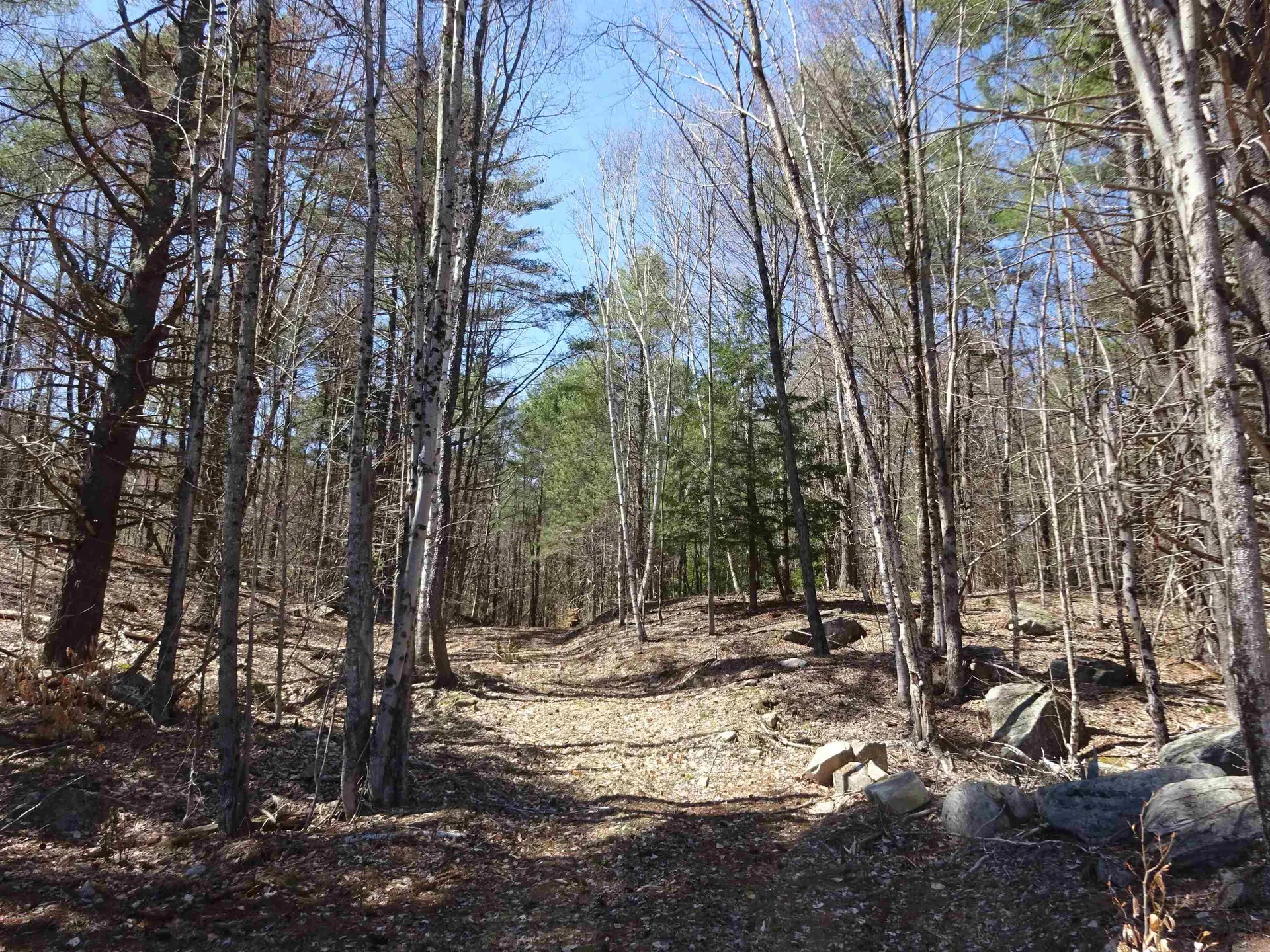 411 Senna Road Cavendish VT 05142