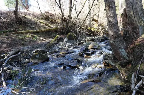 45 Farrow Farm Road Peacham VT 05862