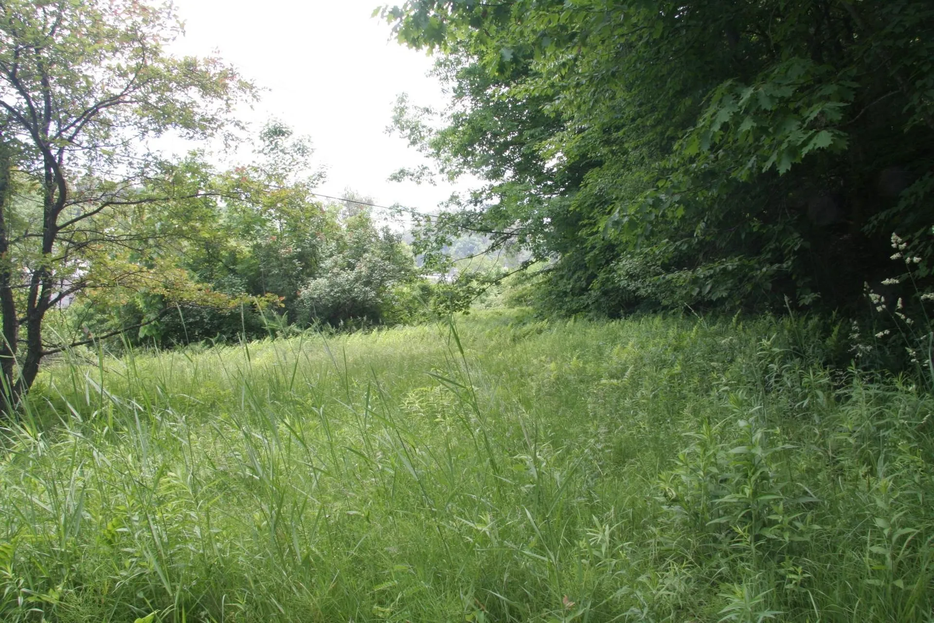 00 Old Center Road St. Johnsbury VT 05819