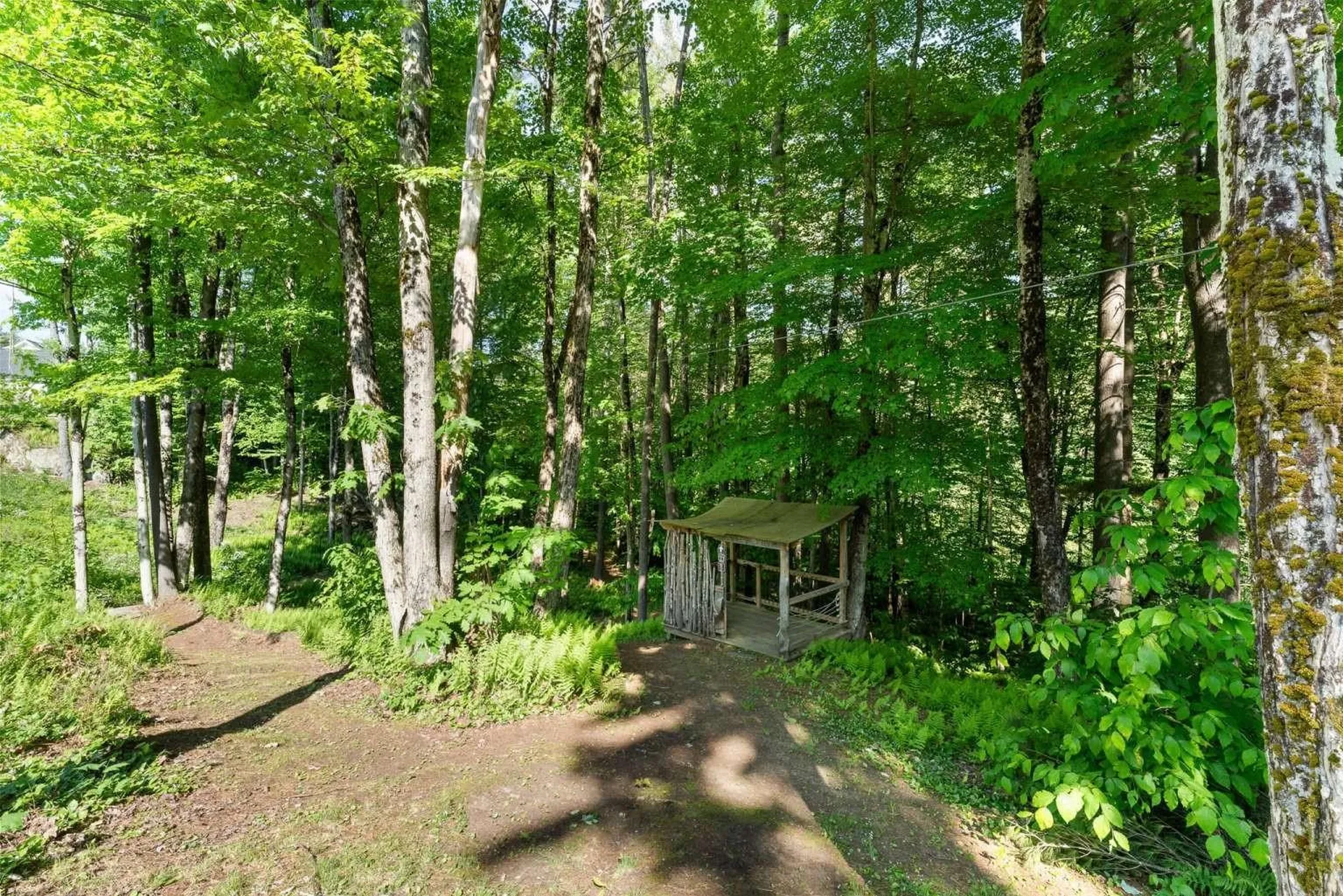 476 Thomas Lane Stowe VT 05672