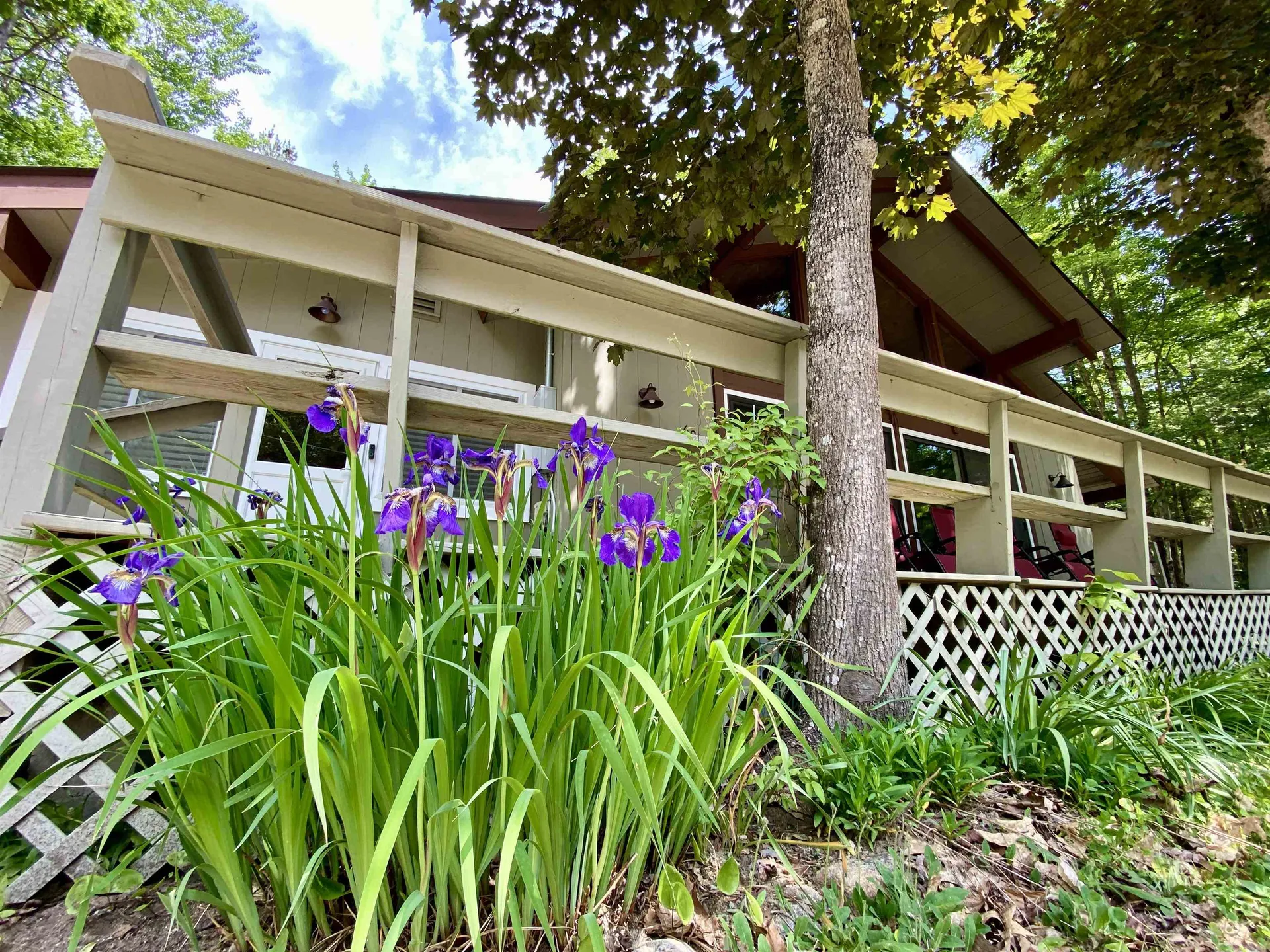 60 Pequawket Drive Conway NH 03818