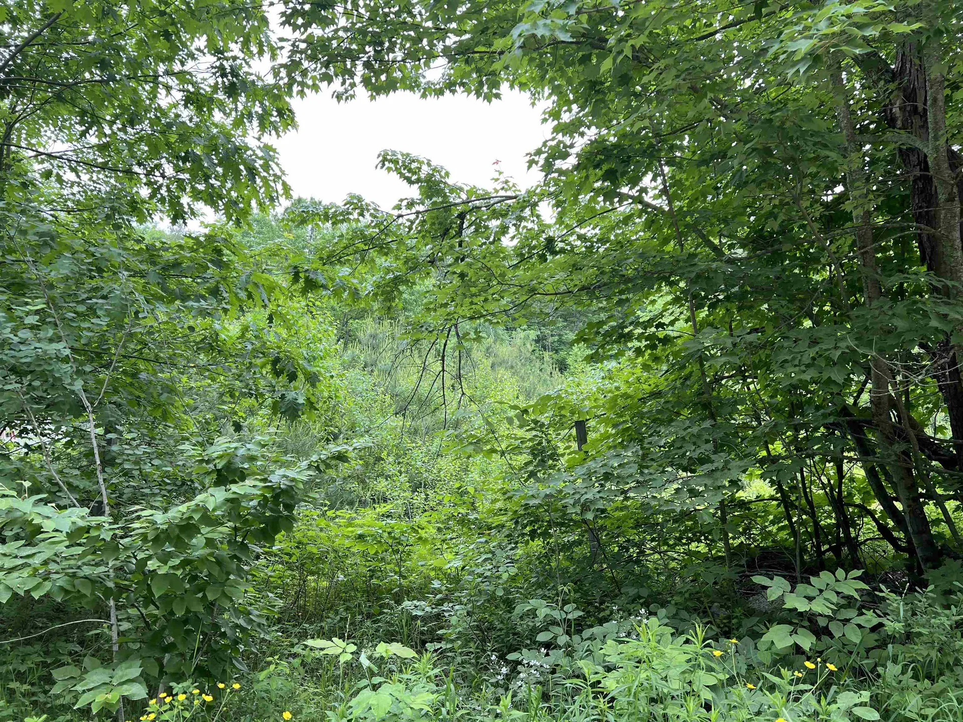 367 Welton Falls Road Alexandria NH 03222