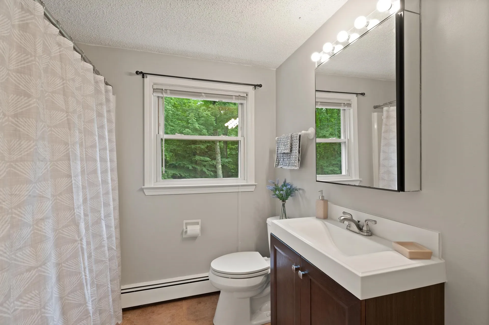 17 Nakomo Drive Litchfield NH 03052-2418
