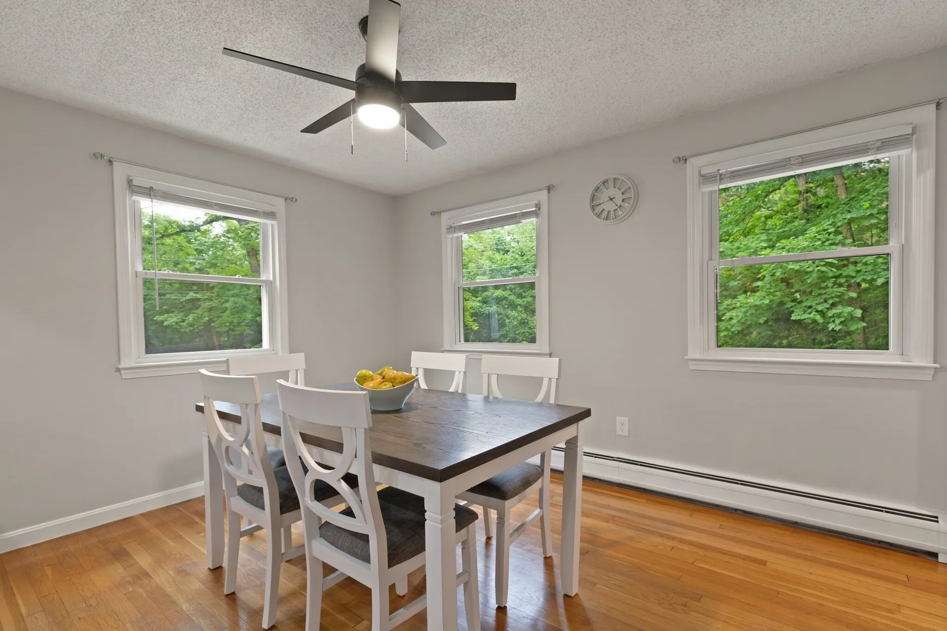17 Nakomo Drive Litchfield NH 03052-2418
