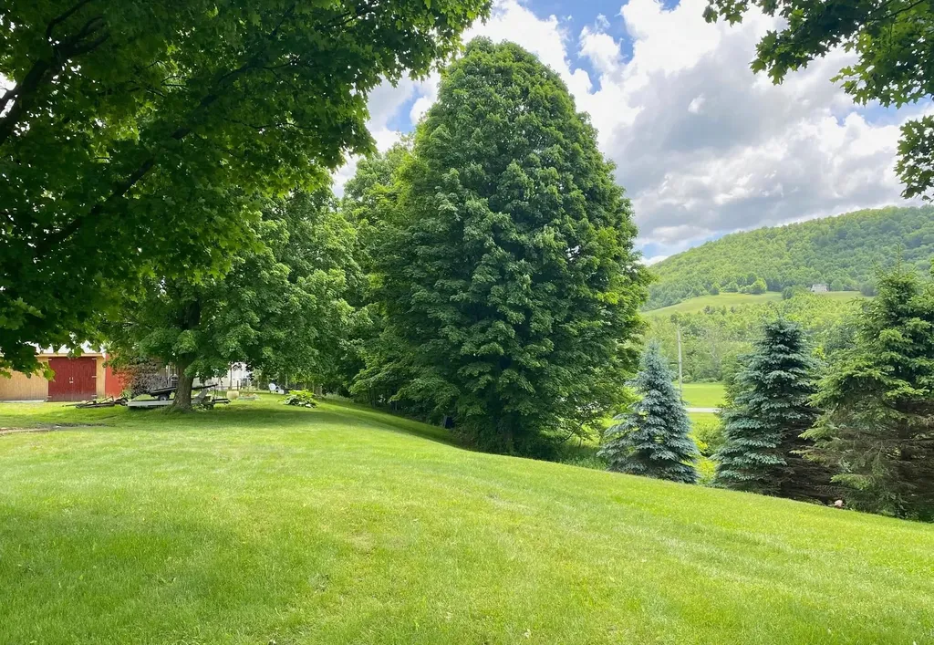 1081 Route 153 Rupert VT 05776