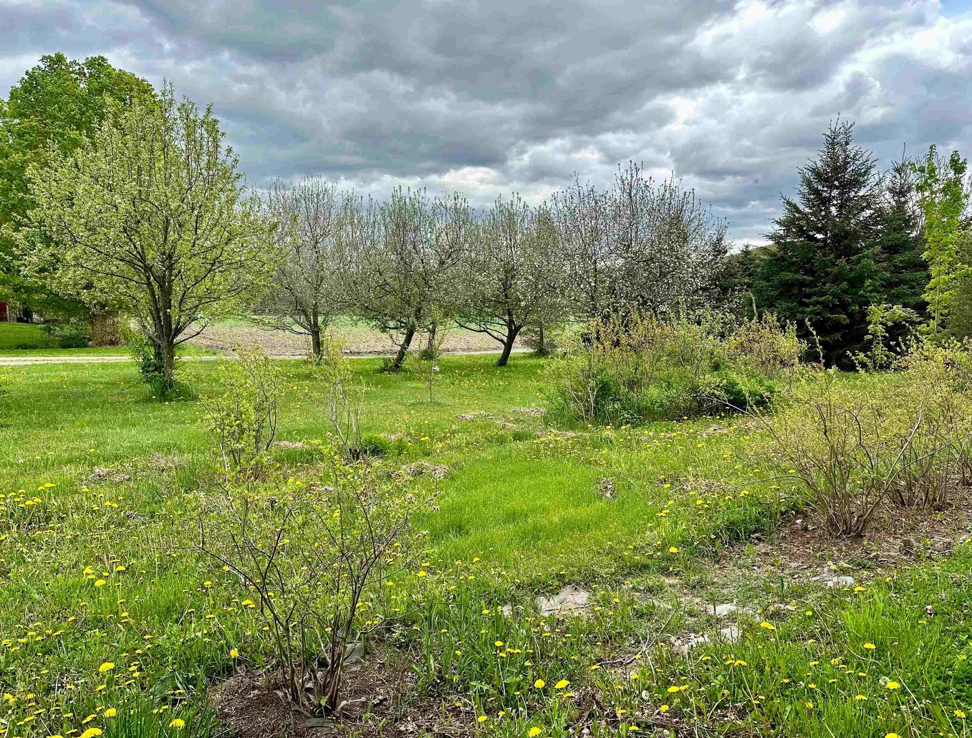 1081 Route 153 Rupert VT 05776