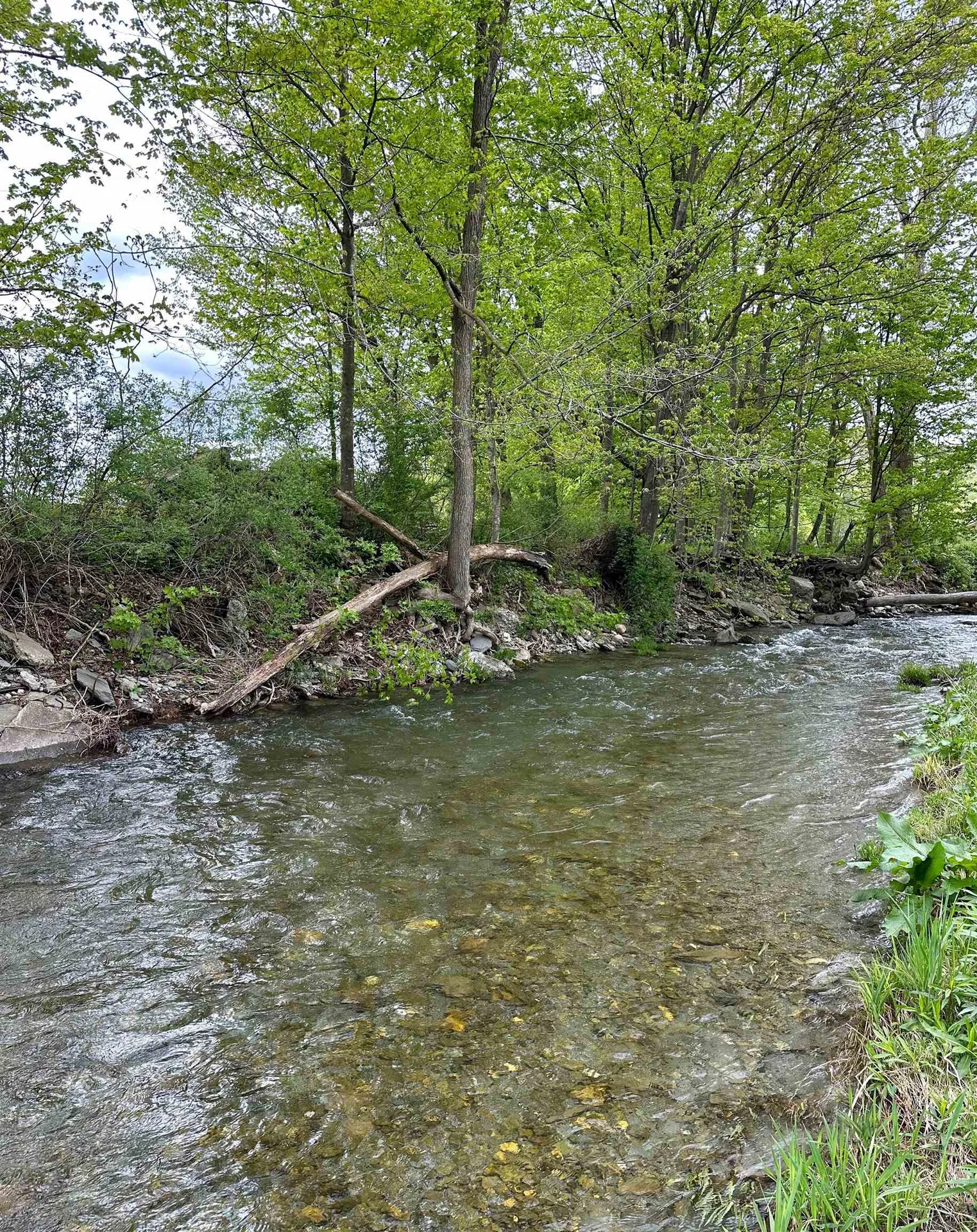 1081 Route 153 Rupert VT 05776