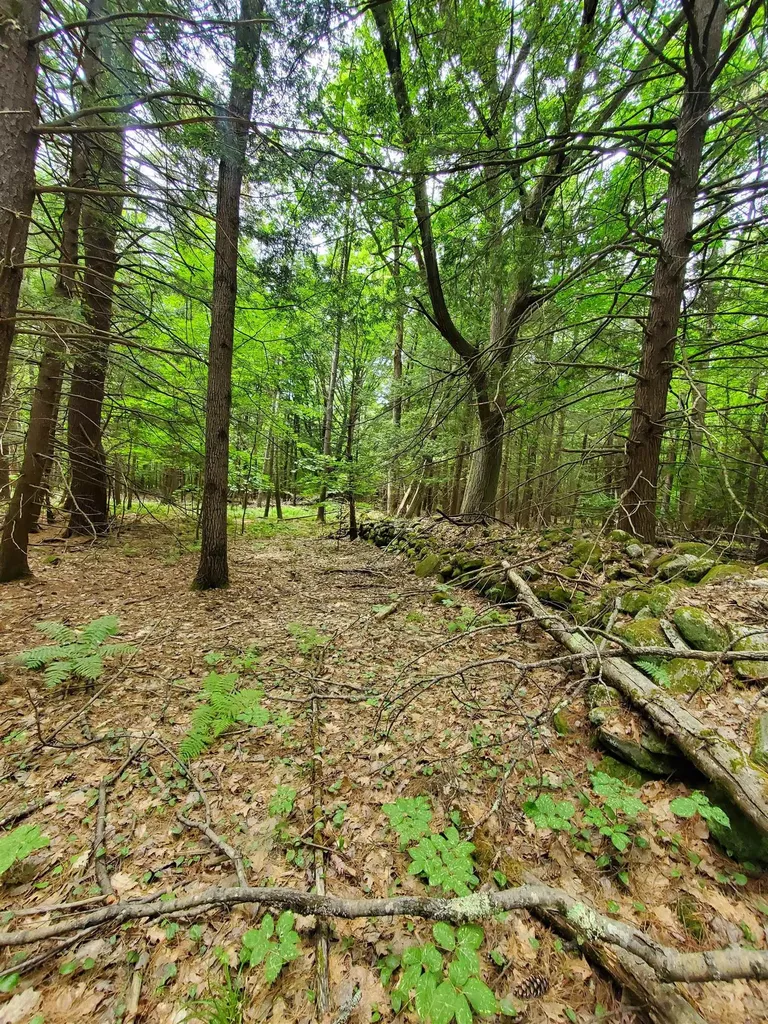 00 Monadnock Highway Swanzey NH 03446