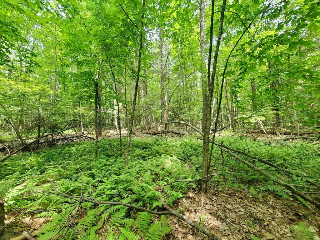 00 Monadnock Highway Swanzey NH 03446