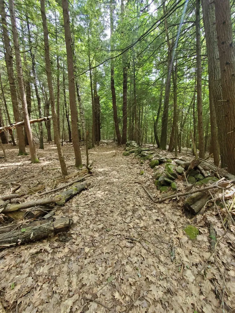 00 Monadnock Highway Swanzey NH 03446