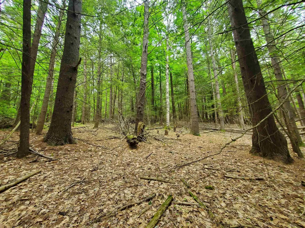 00 Monadnock Highway Swanzey NH 03446