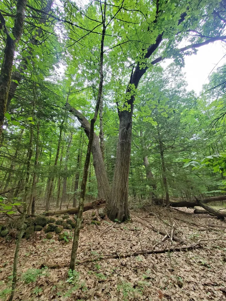 00 Monadnock Highway Swanzey NH 03446