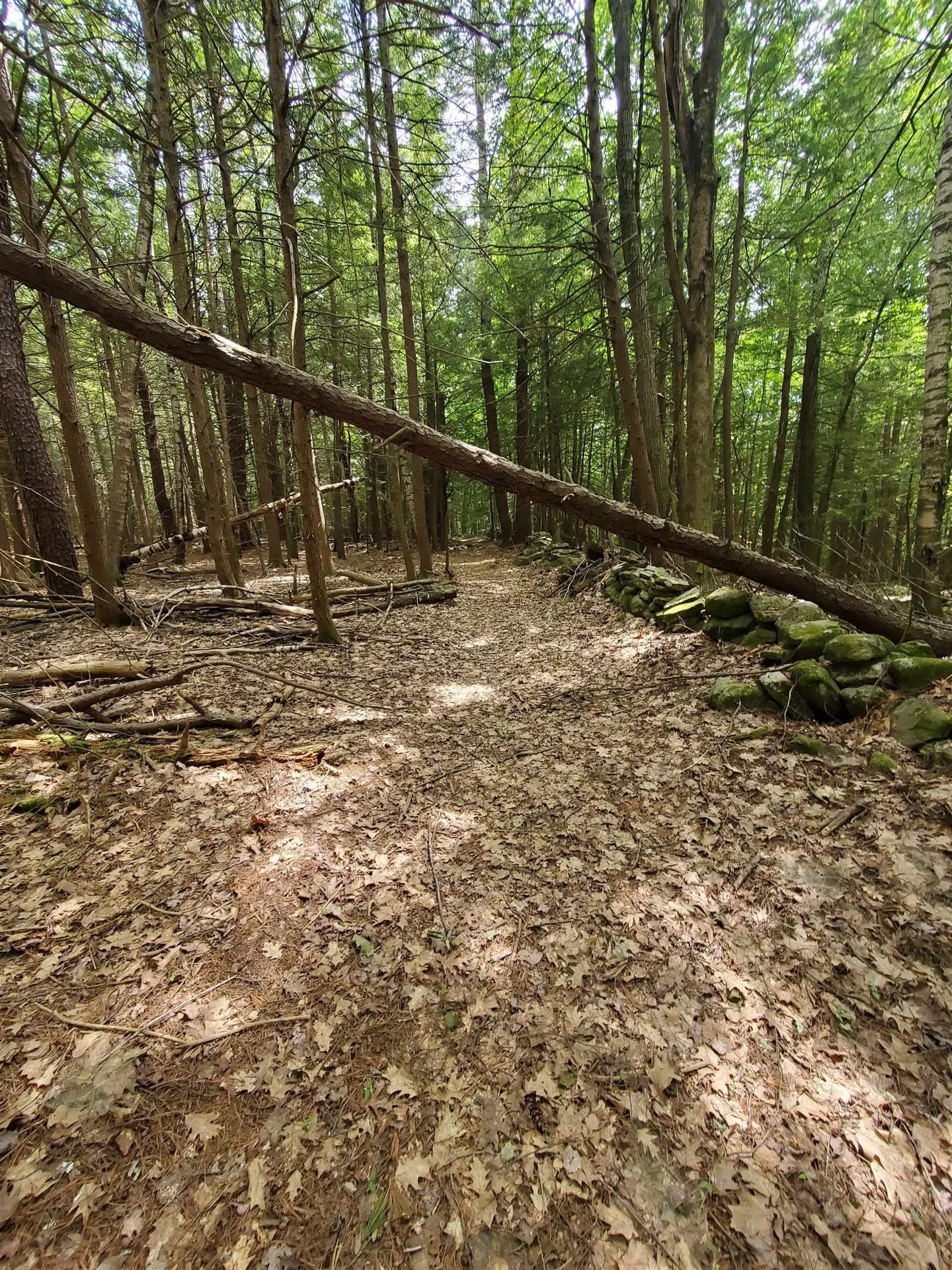 00 Monadnock Highway Swanzey NH 03446