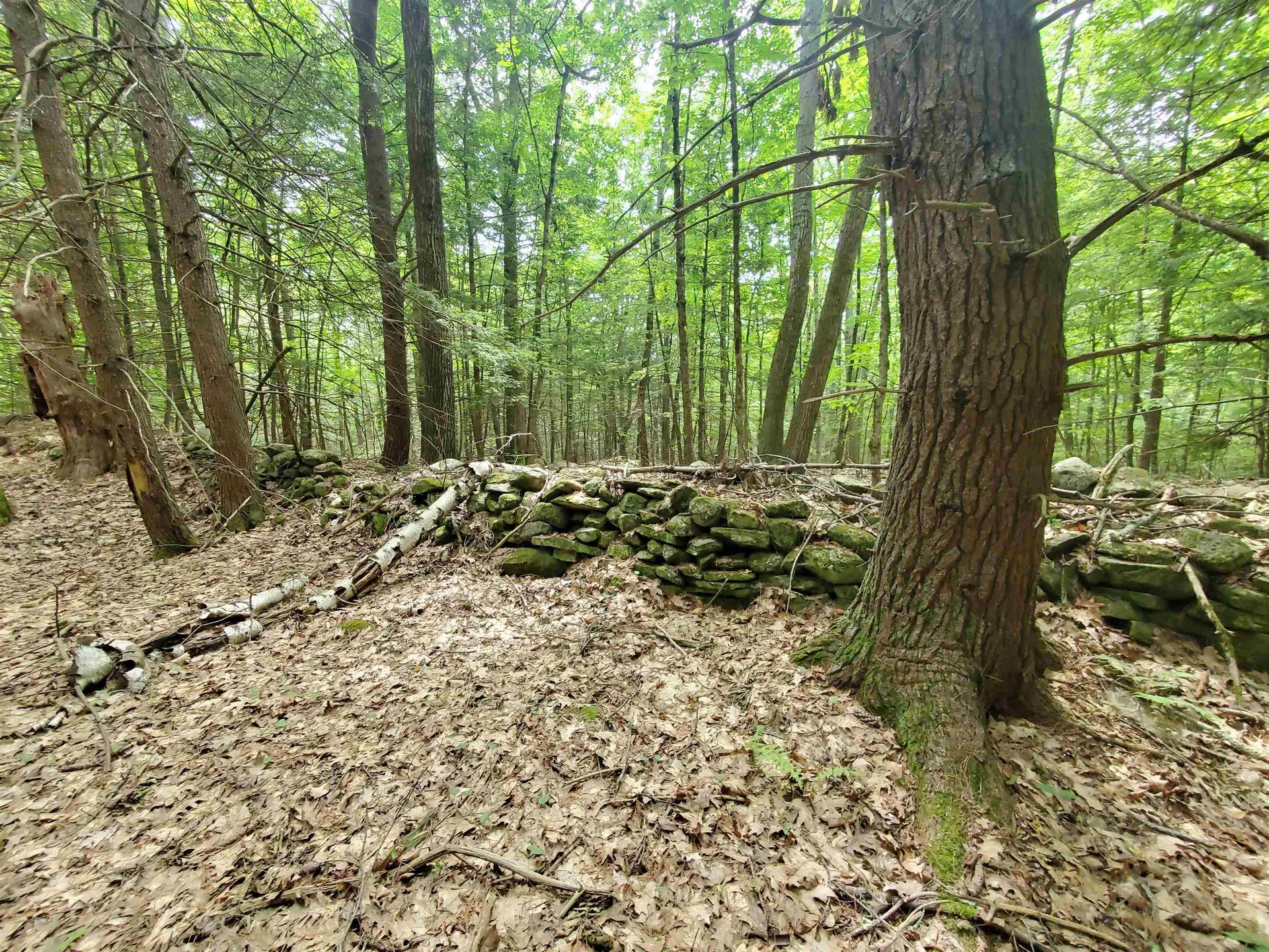 00 Monadnock Highway Swanzey NH 03446