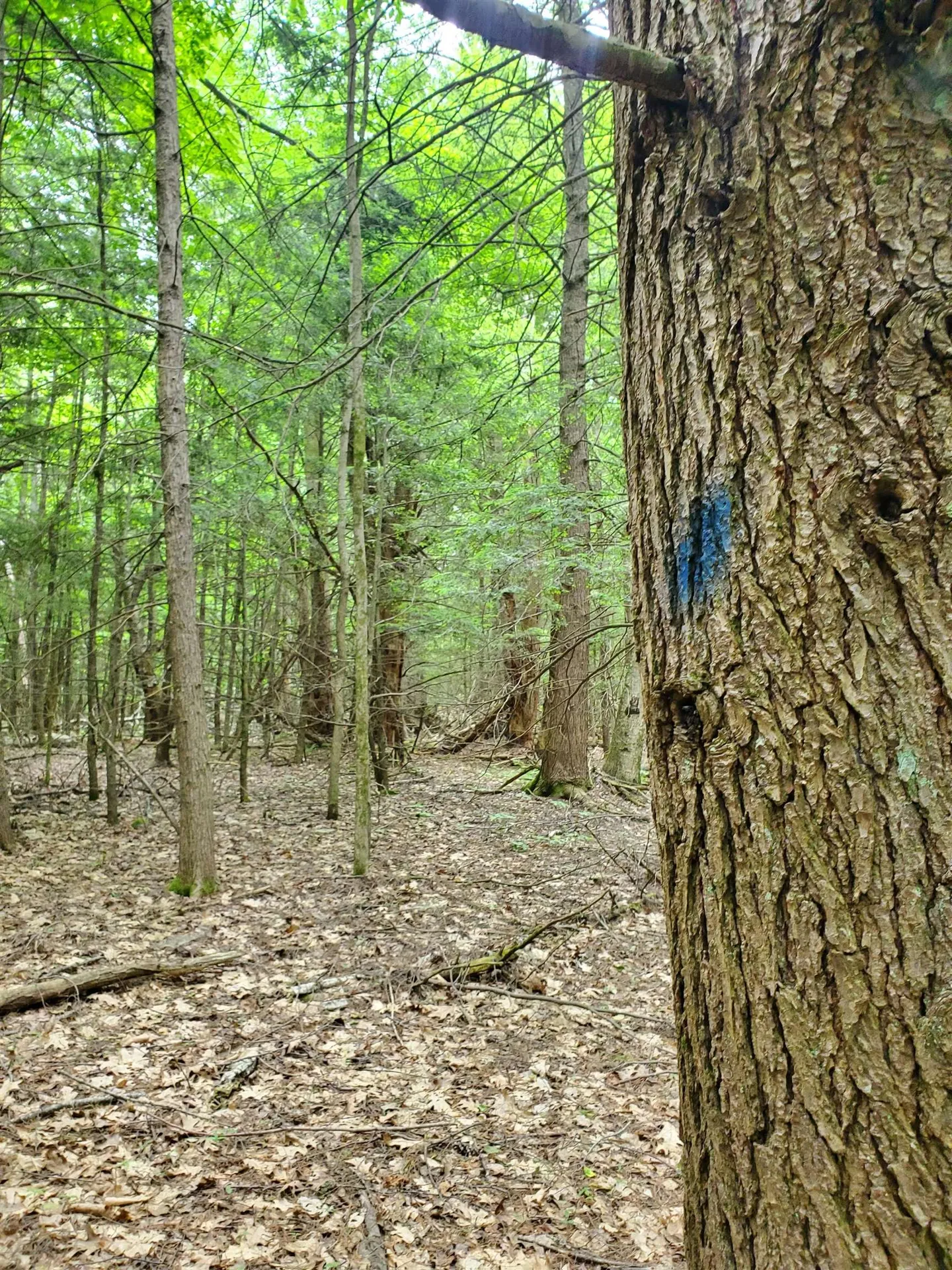 00 Monadnock Highway Swanzey NH 03446