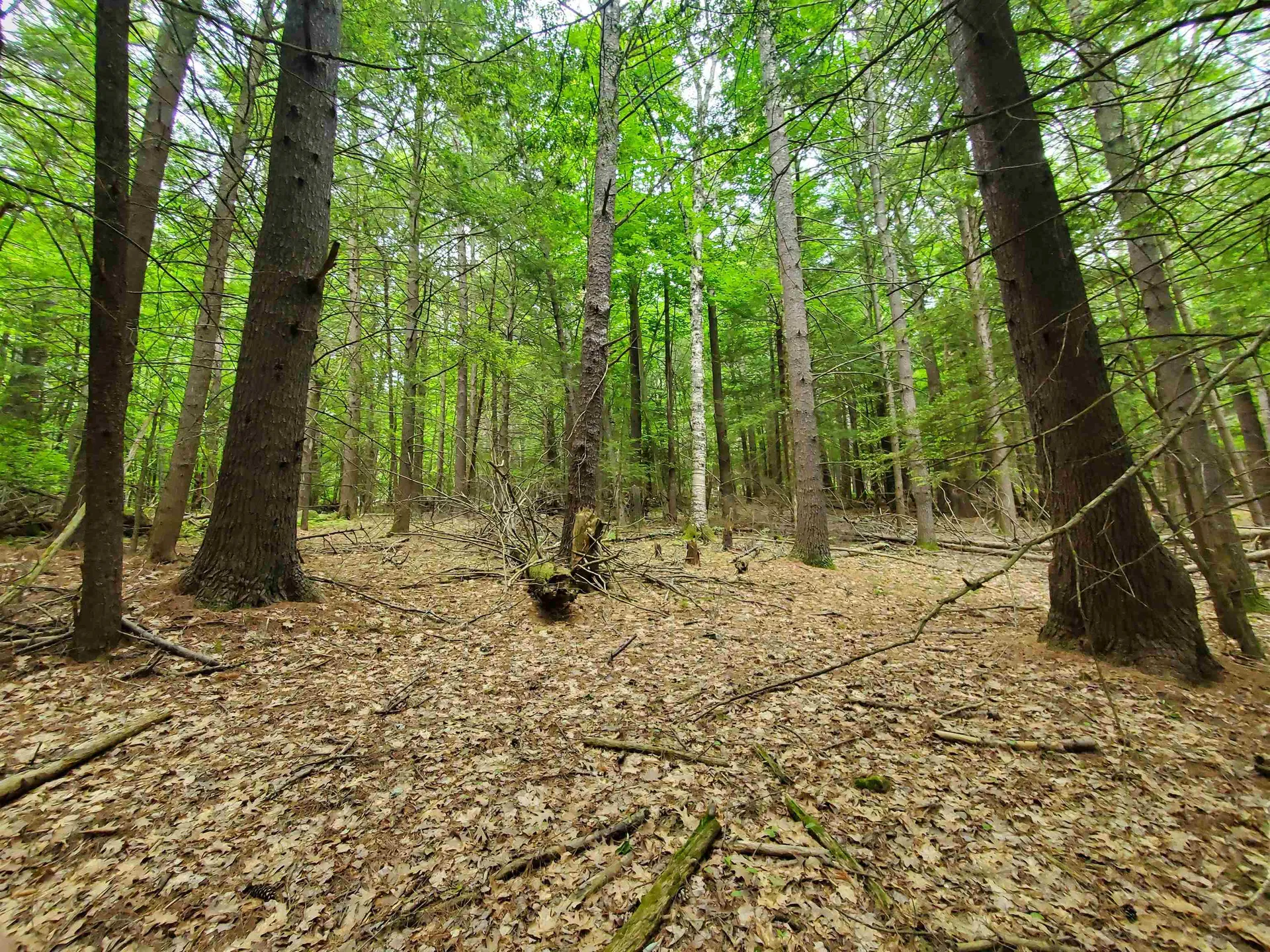 00 Monadnock Highway Swanzey NH 03446