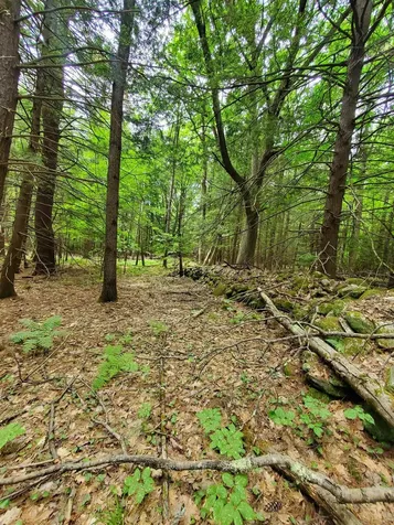 00 Monadnock Highway Swanzey NH 03446