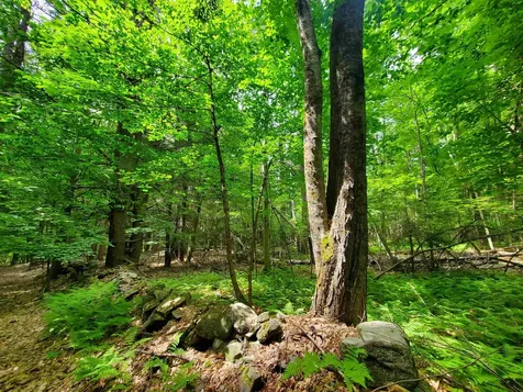 00 Monadnock Highway Swanzey NH 03446