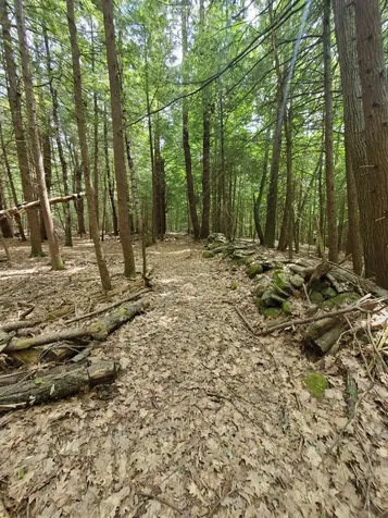 00 Monadnock Highway Swanzey NH 03446