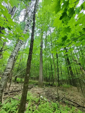 00 Monadnock Highway Swanzey NH 03446