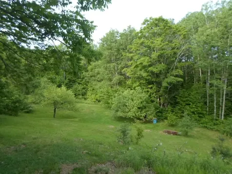 3790 Hart Hollow Road Washington VT 05675