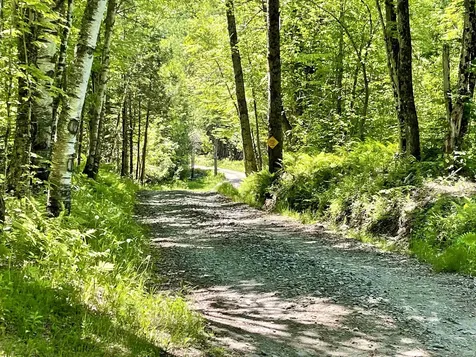 1141 Blakely Road Wheelock VT 05851