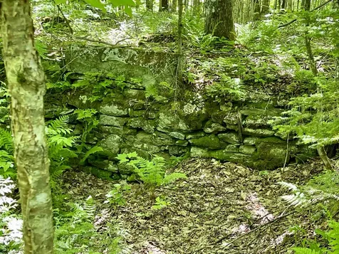 1141 Blakely Road Wheelock VT 05851