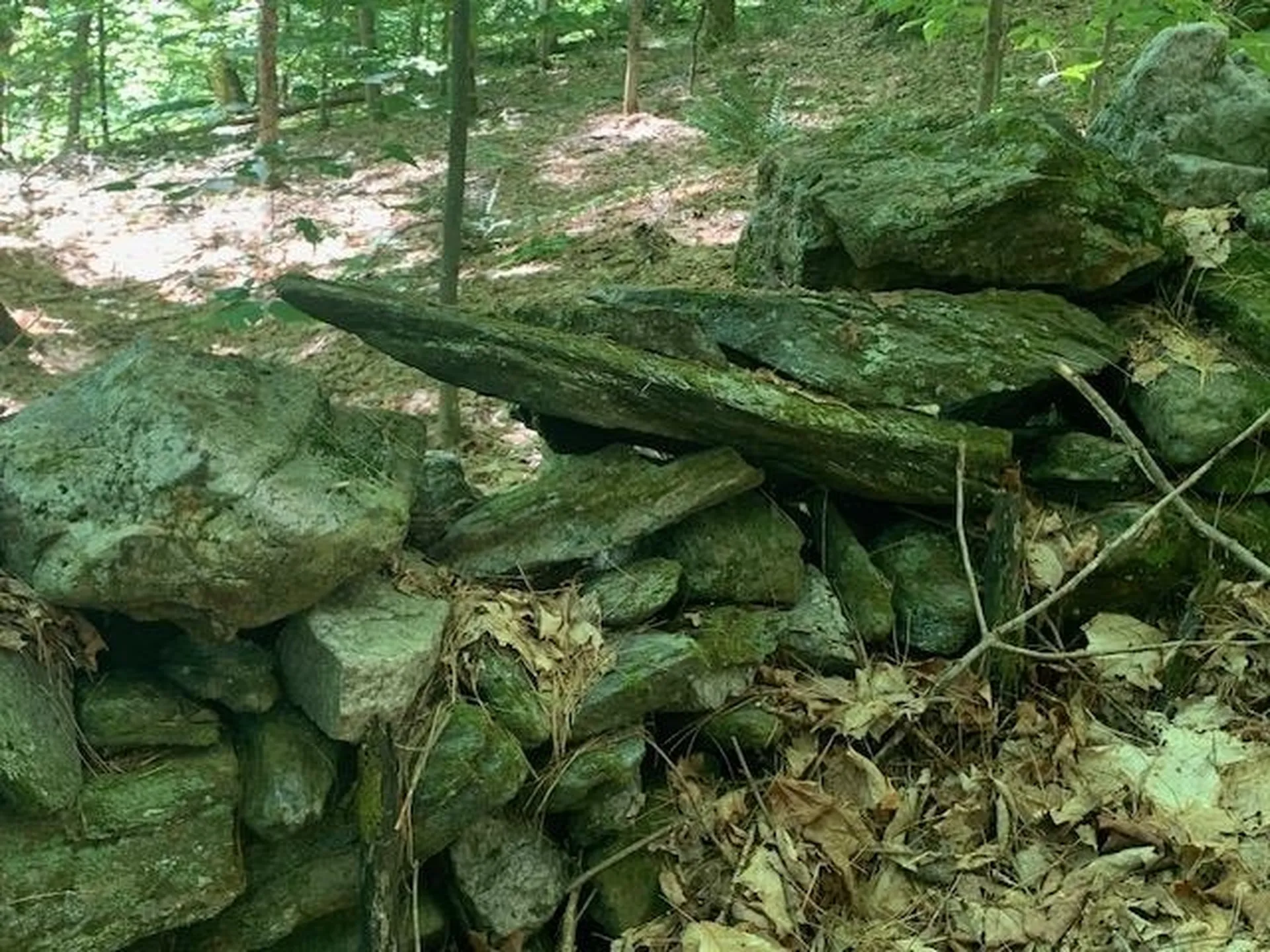 95 Jenne Road Hartland VT 05048-0349