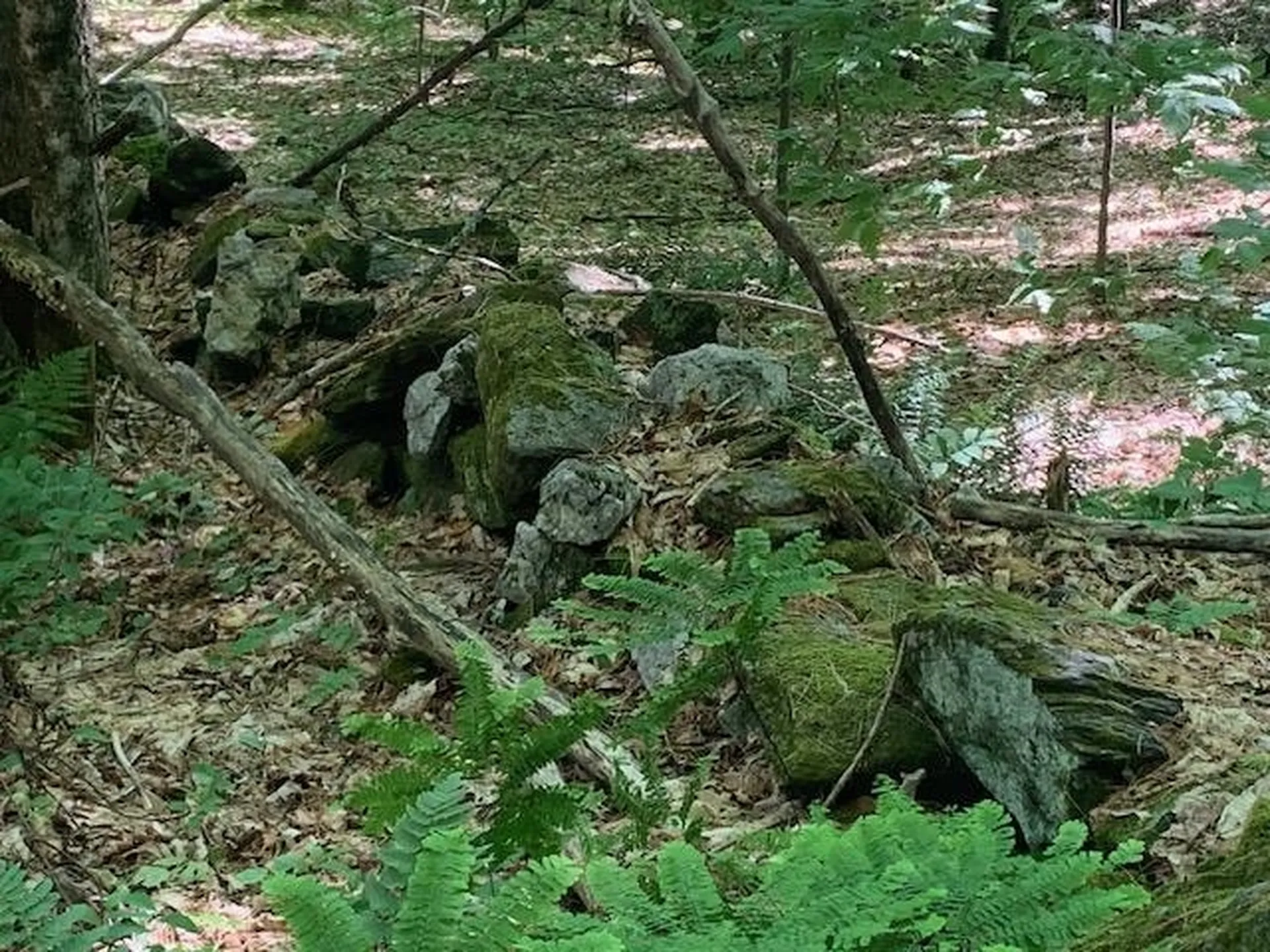 95 Jenne Road Hartland VT 05048-0349