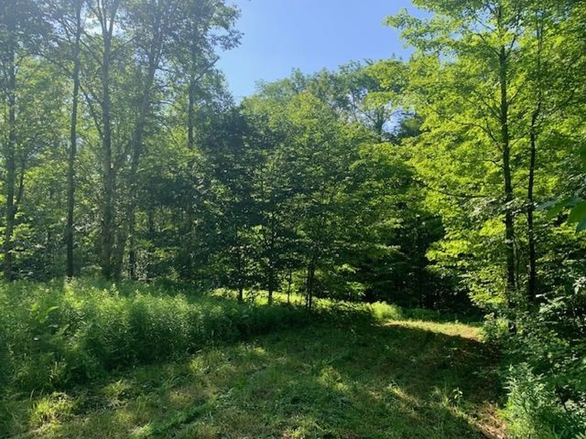 95 Jenne Road Hartland VT 05048-0349