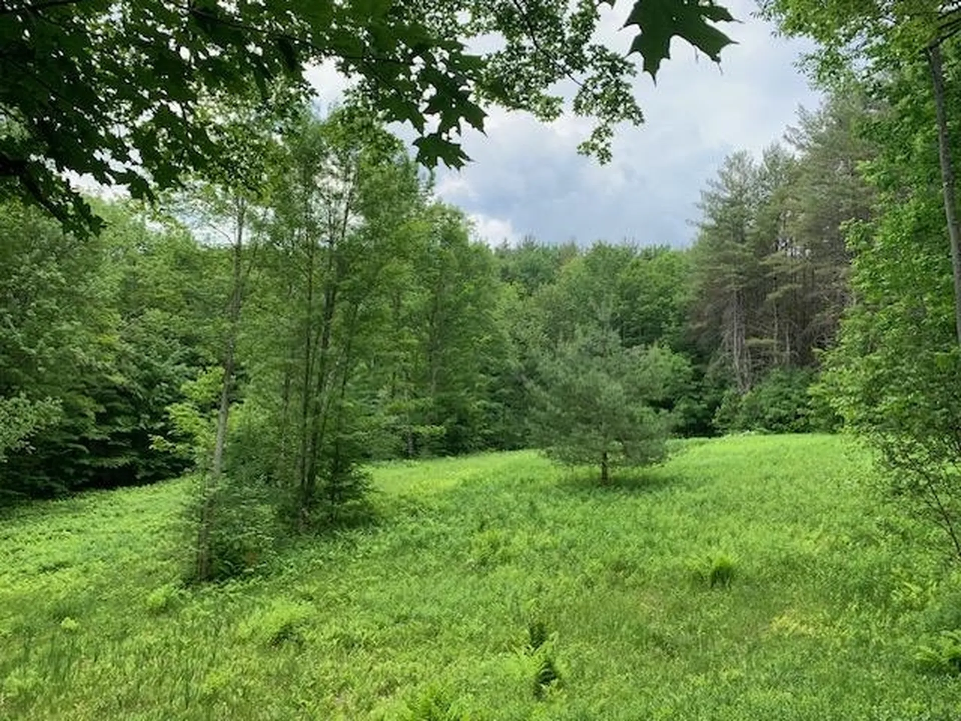 95 Jenne Road Hartland VT 05048-0349