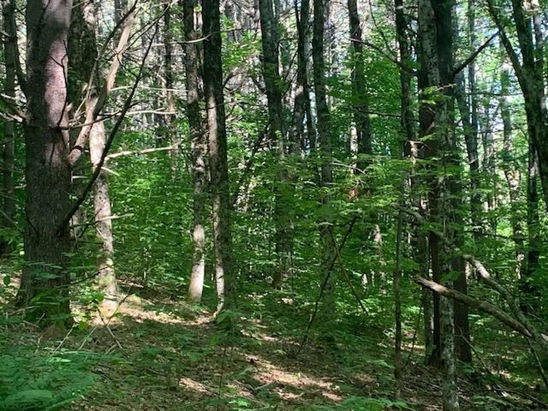 95 Jenne Road Hartland VT 05048-0349