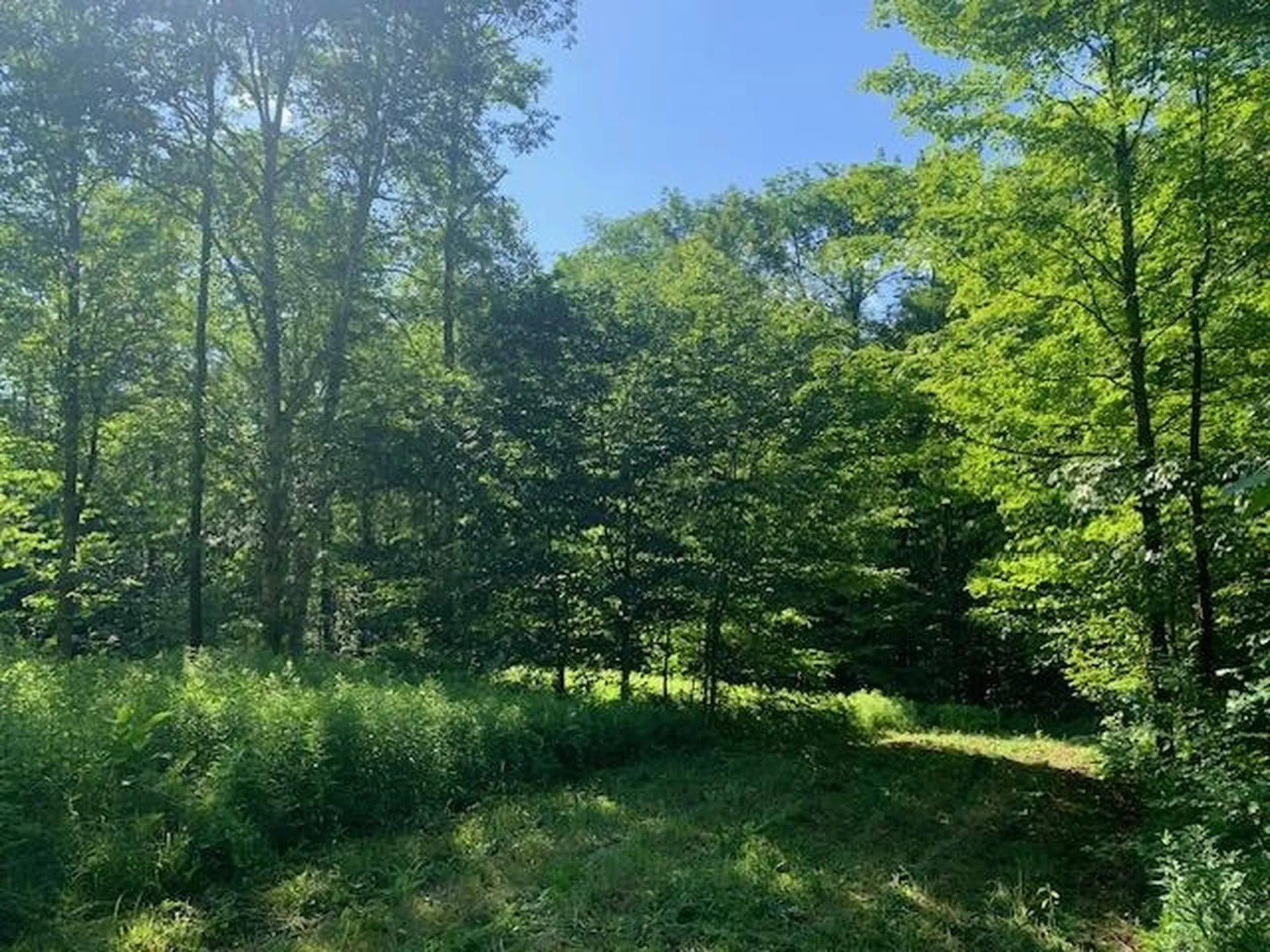 95 Jenne Road Hartland VT 05048-0349