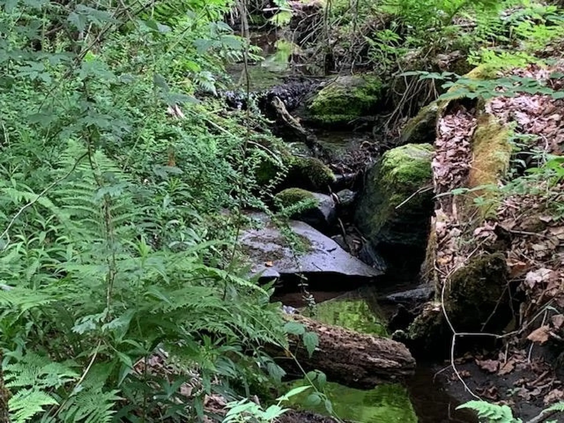 95 Jenne Road Hartland VT 05048-0349