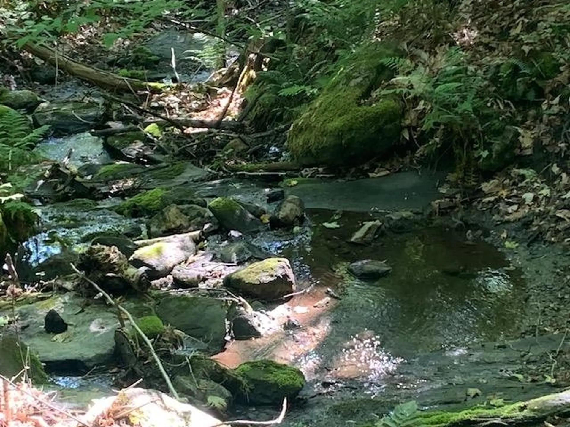 95 Jenne Road Hartland VT 05048-0349