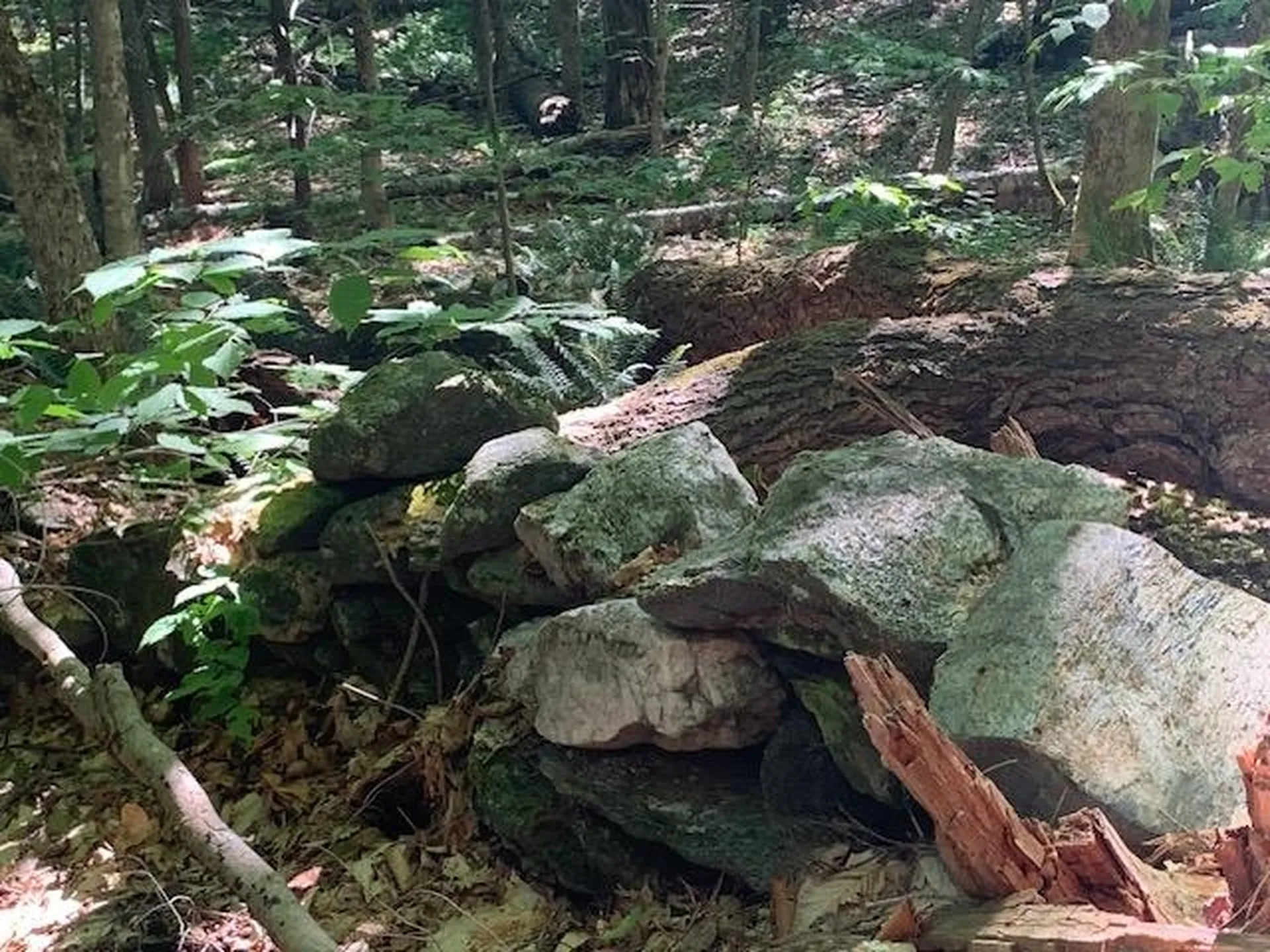 95 Jenne Road Hartland VT 05048-0349