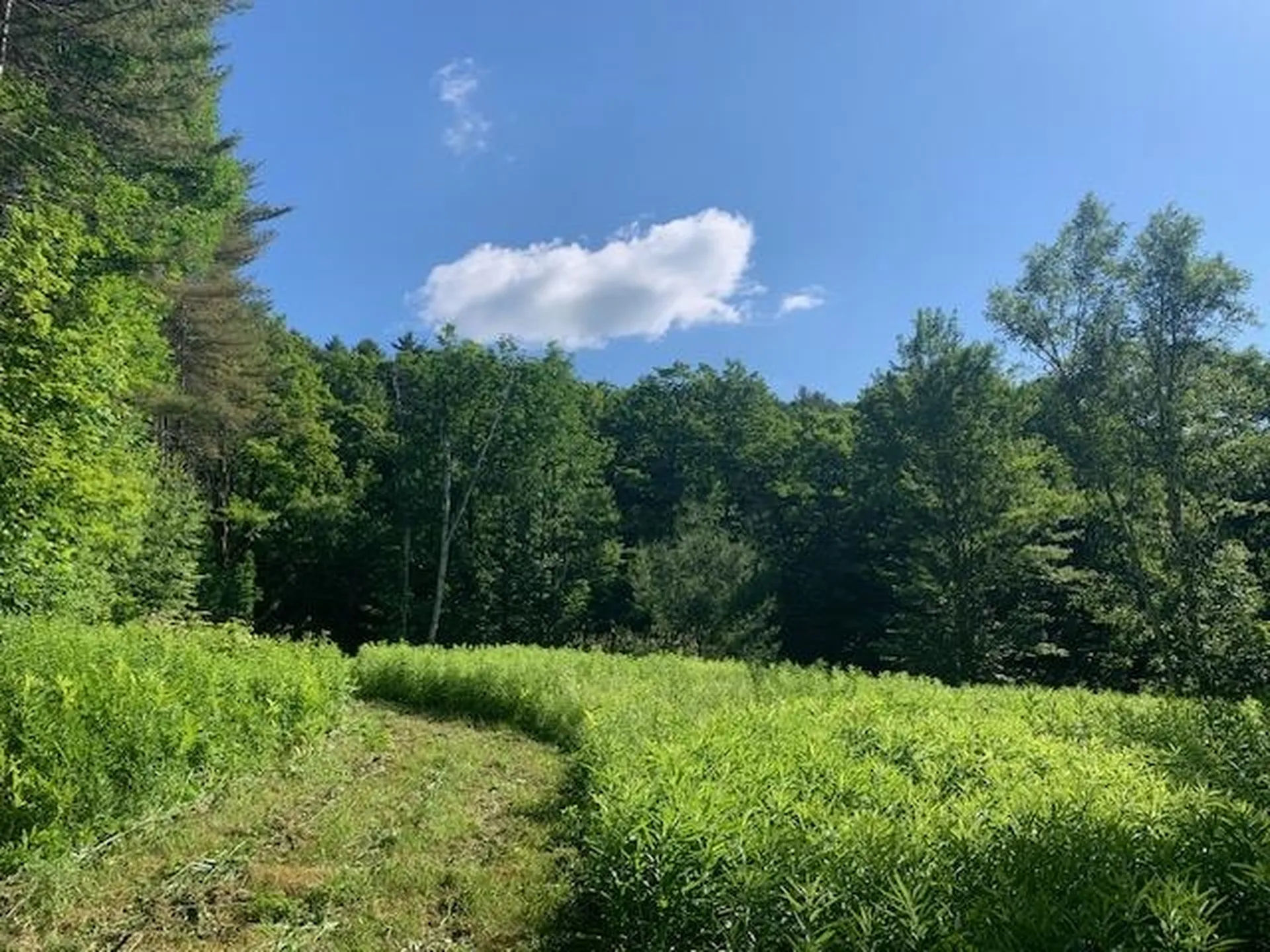 95 Jenne Road Hartland VT 05048-0349