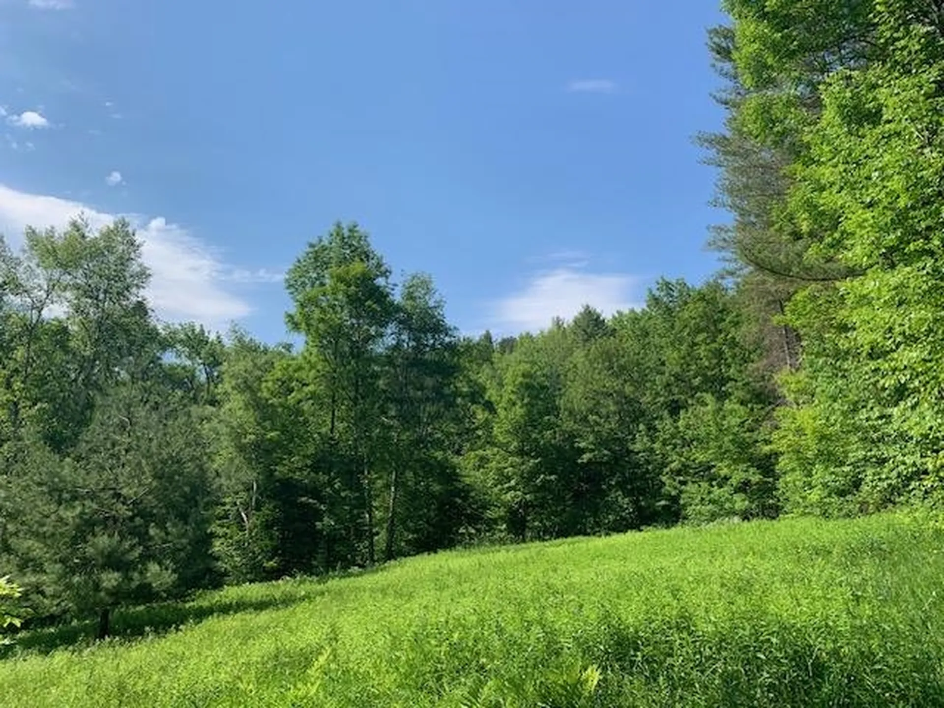 95 Jenne Road Hartland VT 05048-0349