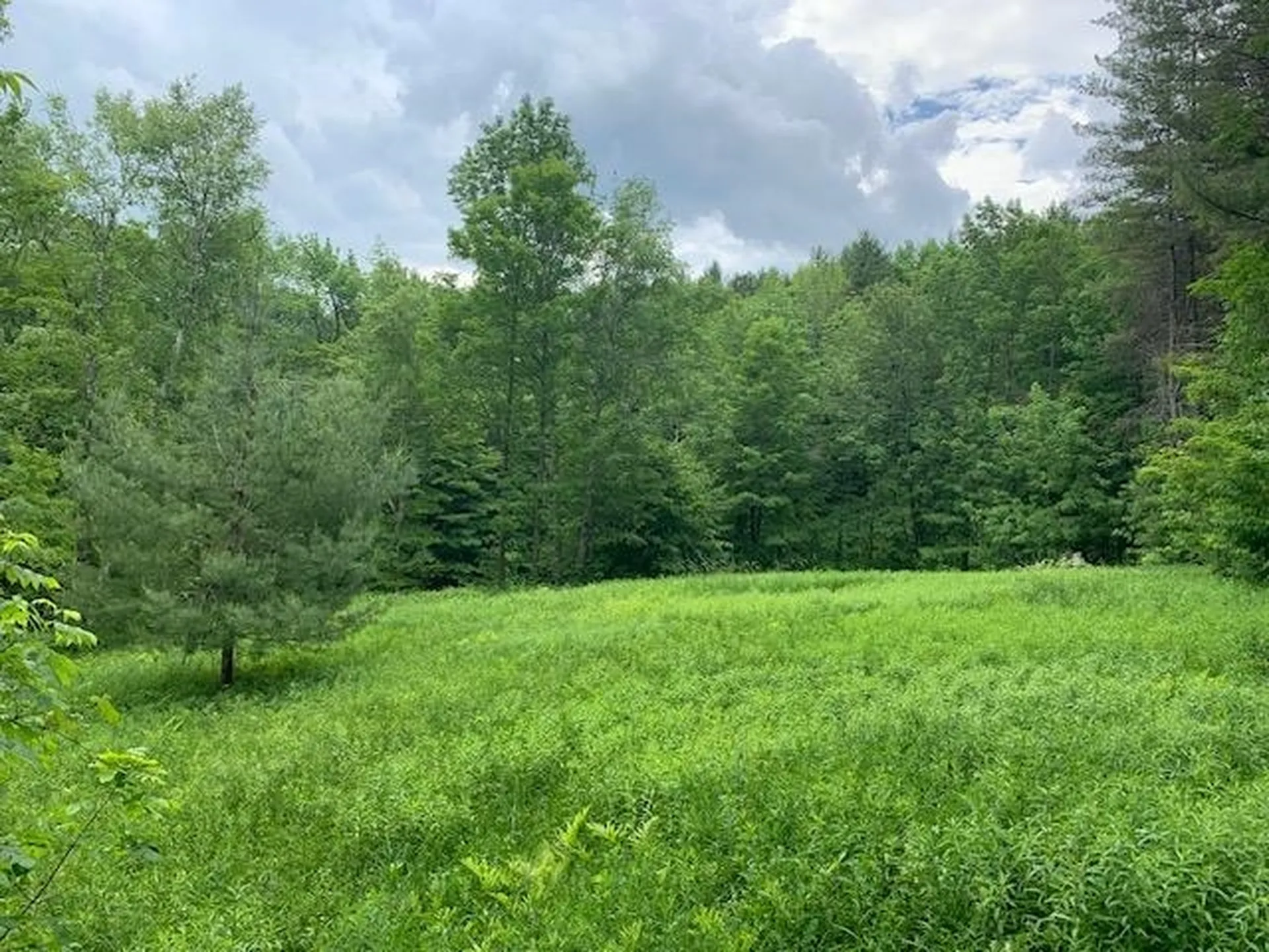 95 Jenne Road Hartland VT 05048-0349