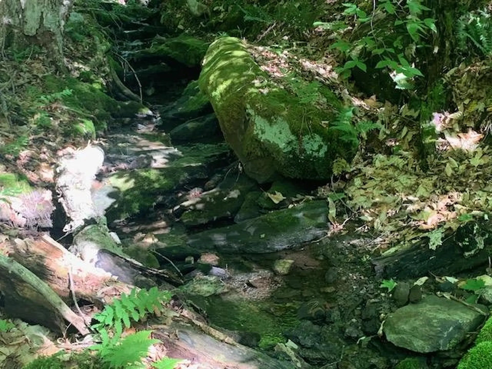 95 Jenne Road Hartland VT 05048-0349