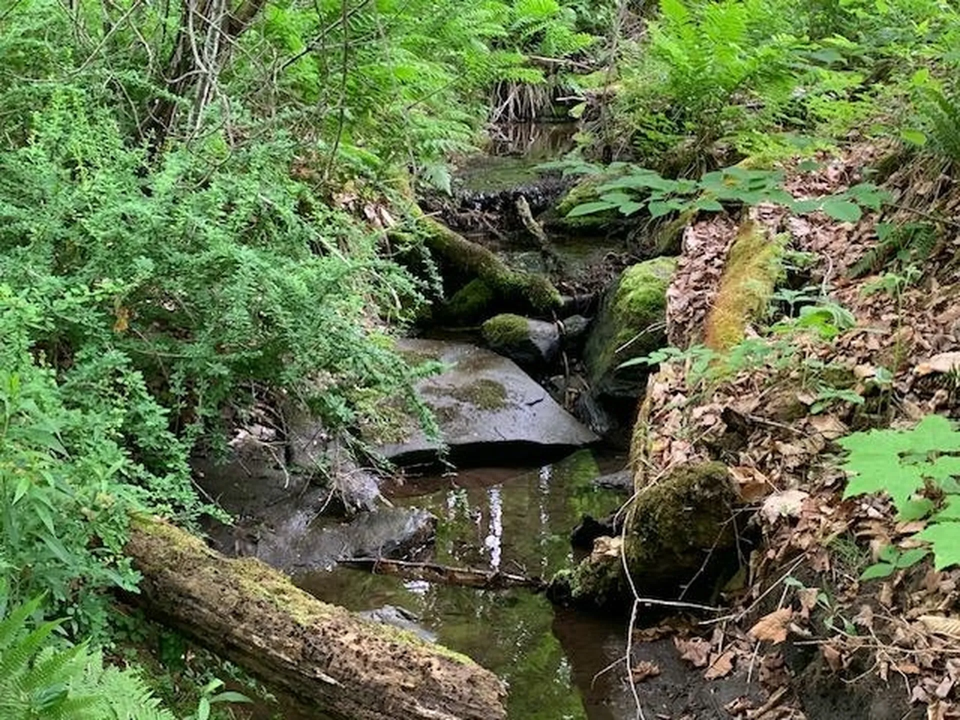 95 Jenne Road Hartland VT 05048-0349