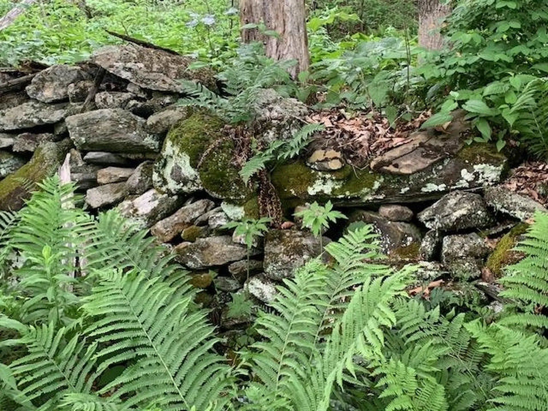 95 Jenne Road Hartland VT 05048-0349