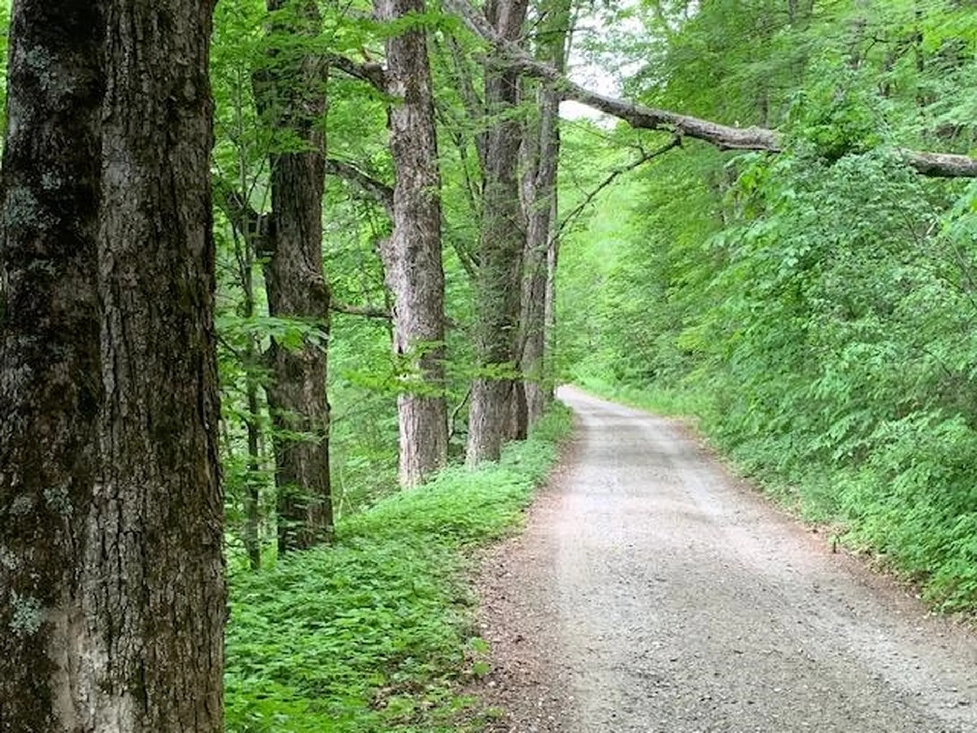 95 Jenne Road Hartland VT 05048-0349