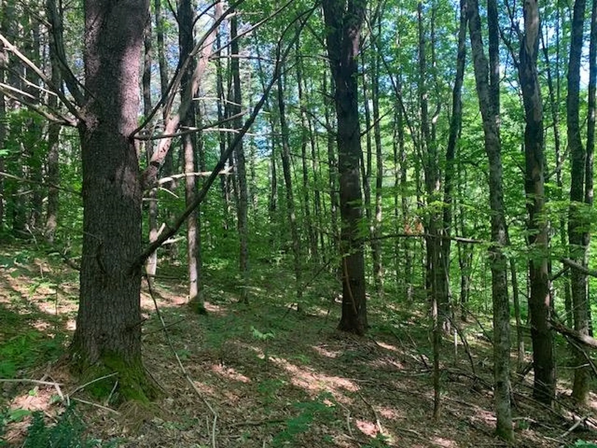 95 Jenne Road Hartland VT 05048-0349