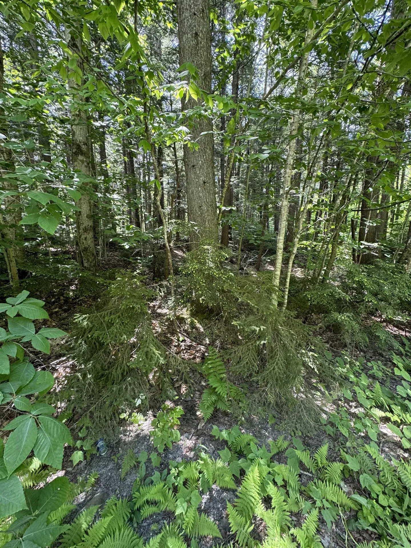 0 Boardman Loop Wardsboro VT 05360