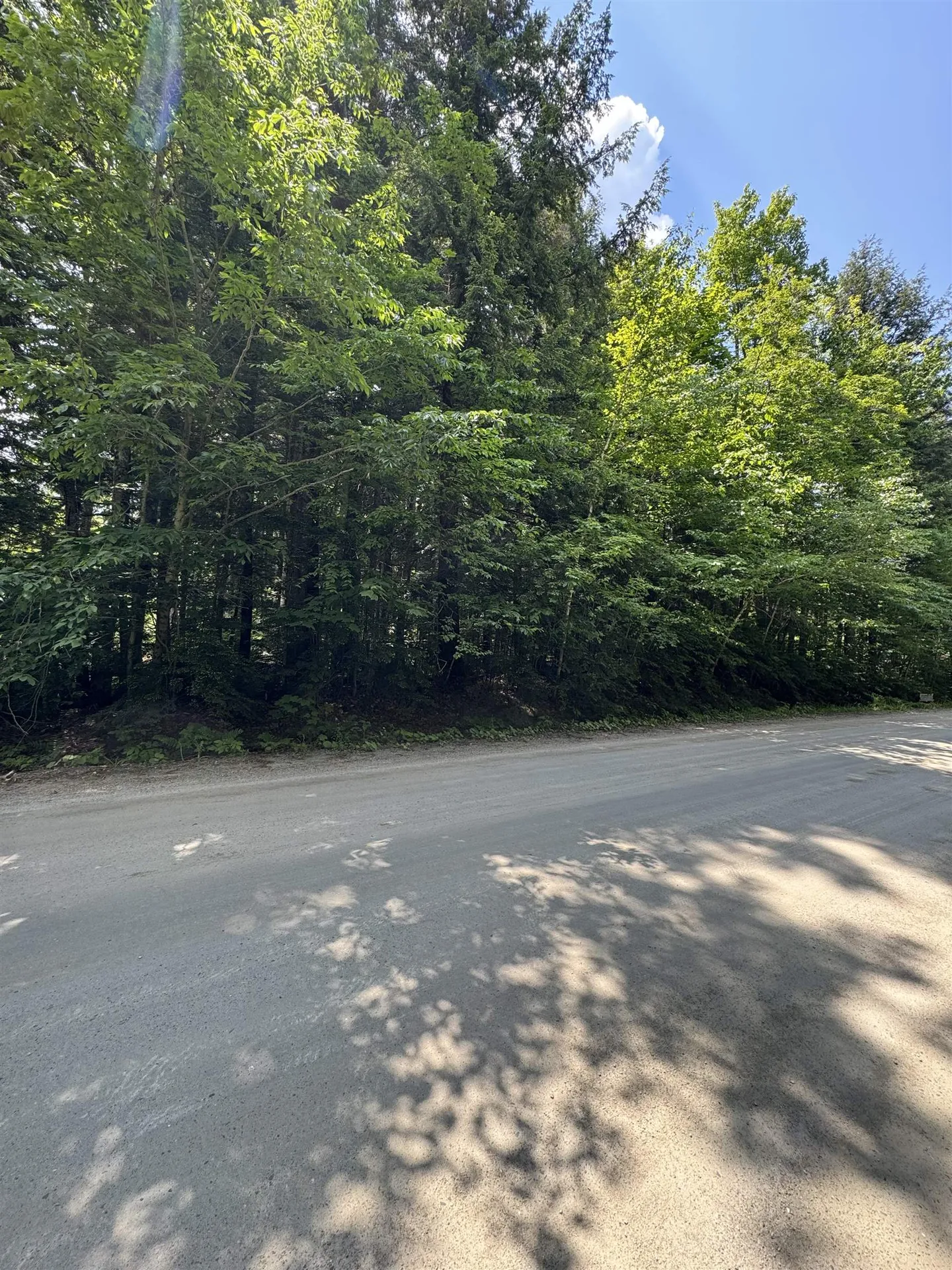 0 Boardman Loop Wardsboro VT 05360