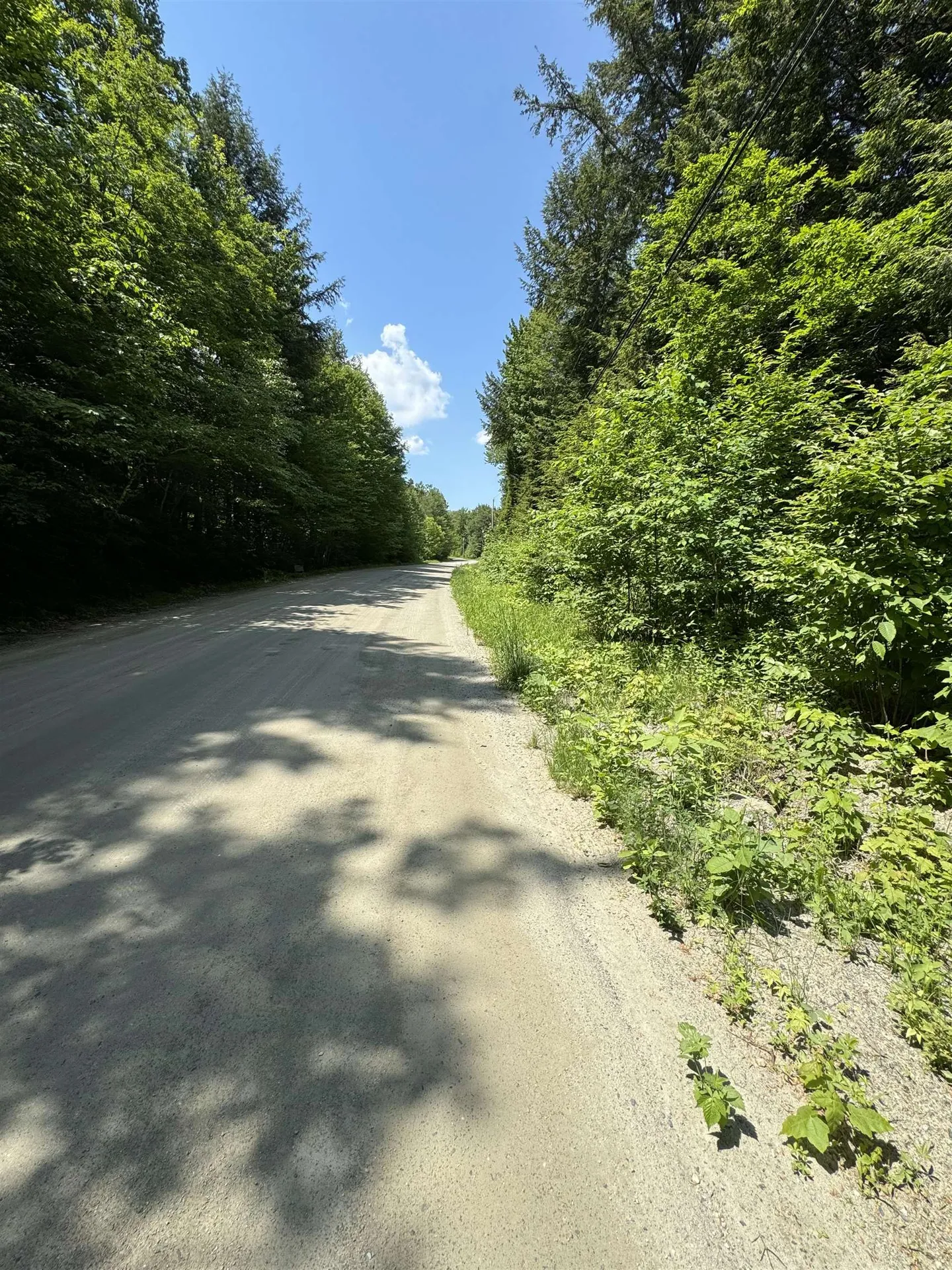 0 Boardman Loop Wardsboro VT 05360